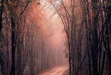 卡塔爾世界杯在11月舉行背後的真相.