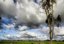 维基体育:官方:葡萄牙任命馬丁內斯為新任主教練.