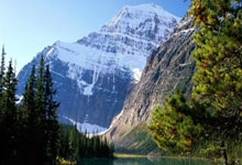 约基奇大三双23+17+15 掘金终结活塞8连胜.